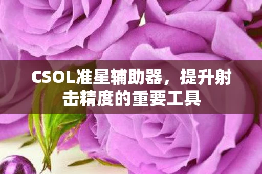 提升射击精度的重要工具图片