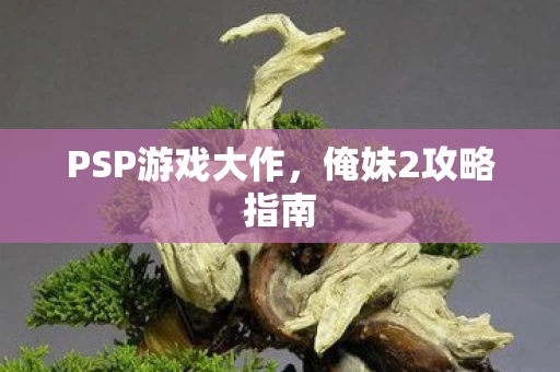 PSP游戏大作图片