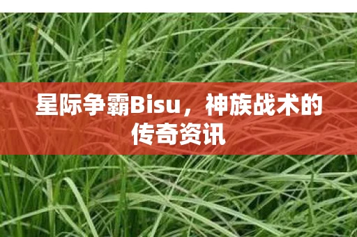 神族战术的传奇资讯图片