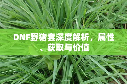 DNF野猪套深度解析图片