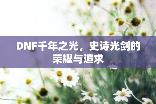 史诗光剑的荣耀与追求图片