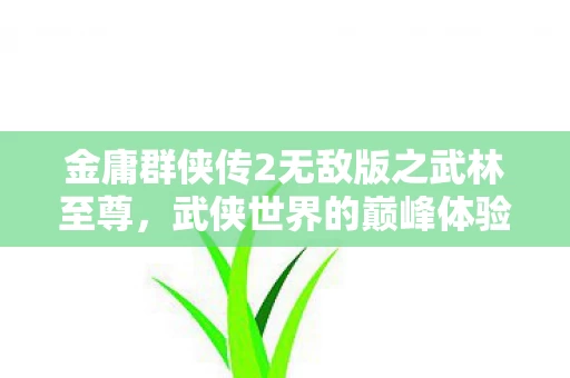 金庸群侠传2无敌版之武林至尊图片