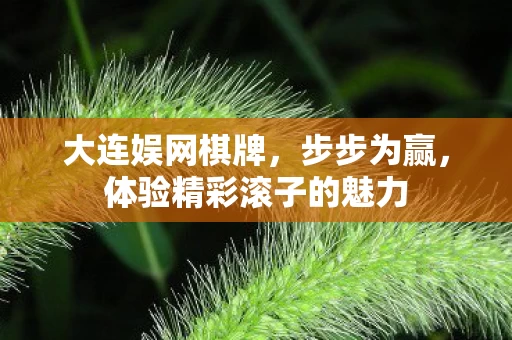 体验精彩滚子的魅力图片