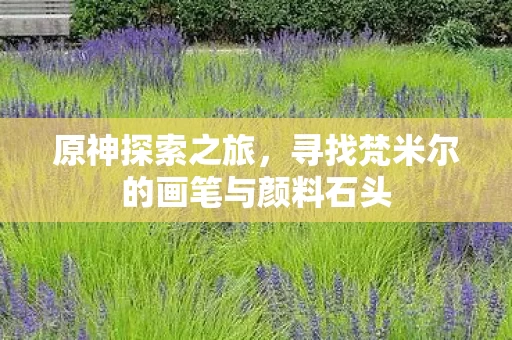 寻找梵米尔的画笔与颜料石头图片