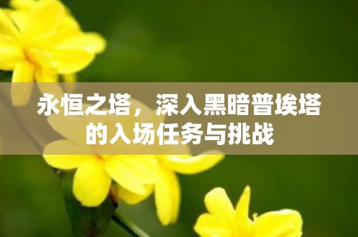 深入黑暗普埃塔的入场任务与挑战图片