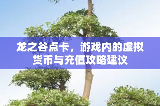 游戏内的虚拟货币与充值攻略建议图片