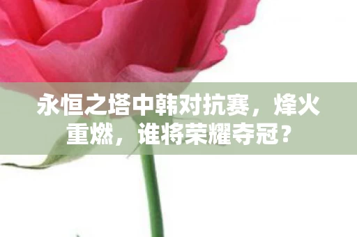 永恒之塔中韩对抗赛图片