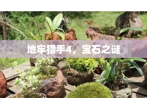 地牢猎手4图片