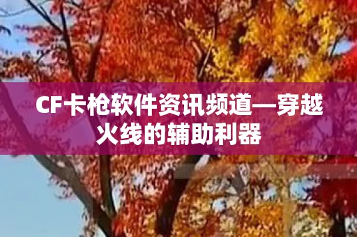 CF卡枪软件资讯频道图片