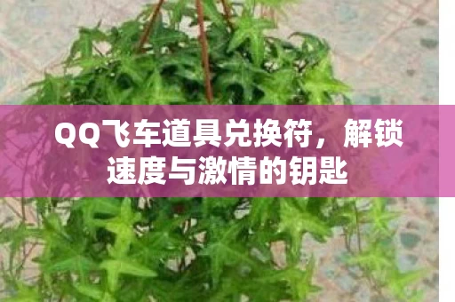 解锁速度与激情的钥匙图片