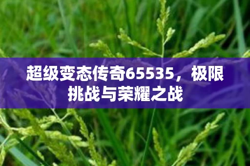 超级变态传奇65535图片