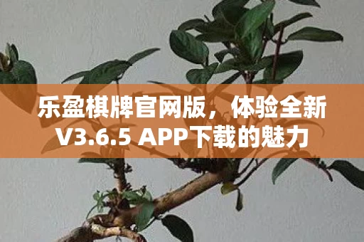 5 APP下载的魅力图片
