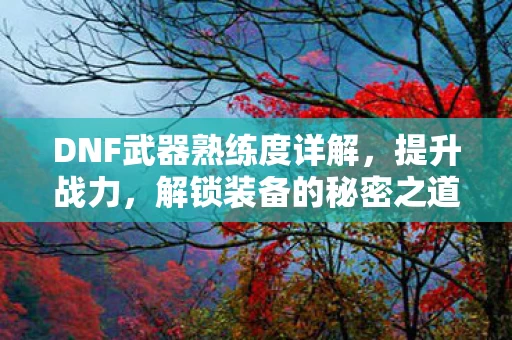DNF武器熟练度详解图片