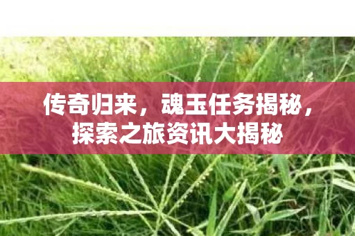 探索之旅资讯大揭秘图片