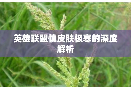 英雄联盟慎皮肤极寒的深度解析图片