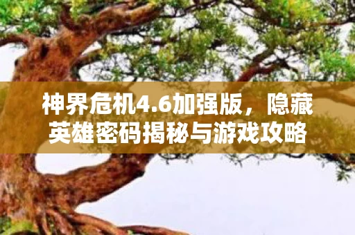 隐藏英雄密码揭秘与游戏攻略图片