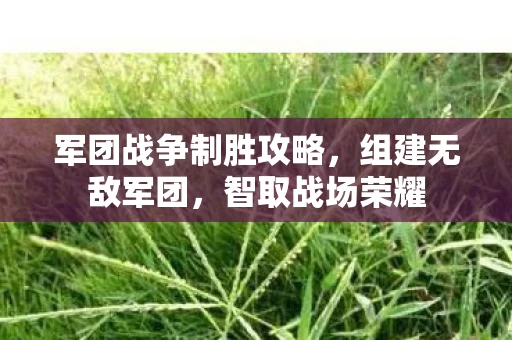 军团战争制胜攻略图片