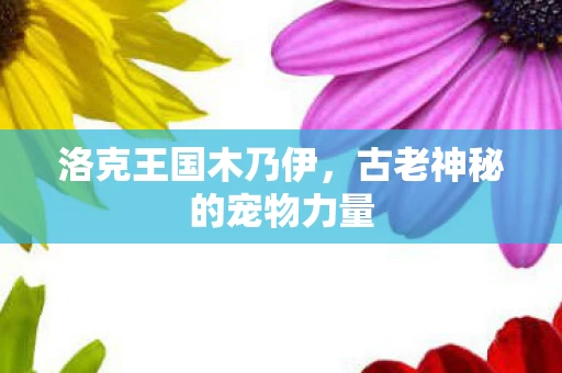 古老神秘的宠物力量图片