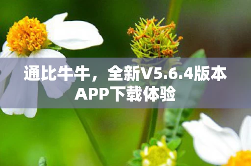 4版本APP下载体验图片