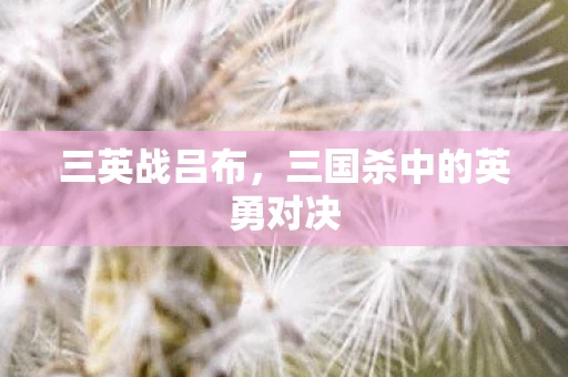 三国杀中的英勇对决图片