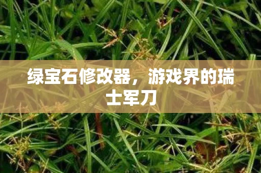 游戏界的瑞士军刀图片