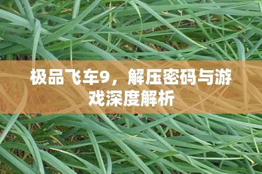解压密码与游戏深度解析图片