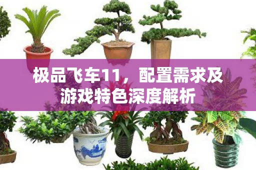 配置需求及游戏特色深度解析图片