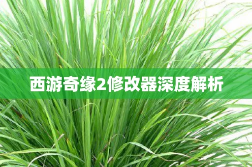 西游奇缘2修改器深度解析图片