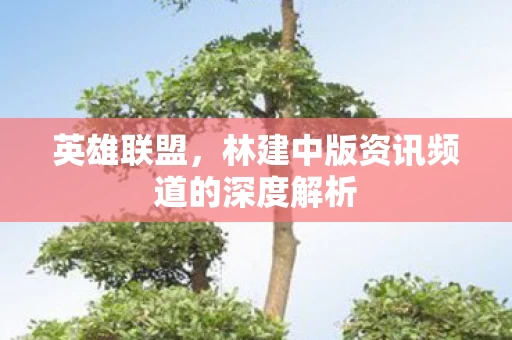 林建中版资讯频道的深度解析图片