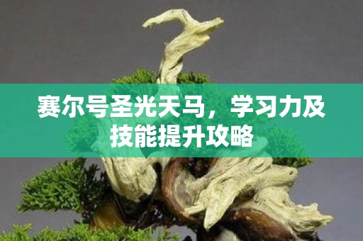 学习力及技能提升攻略图片