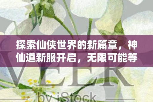 探索仙侠世界的新篇章图片