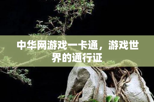 中华网游戏一卡通图片