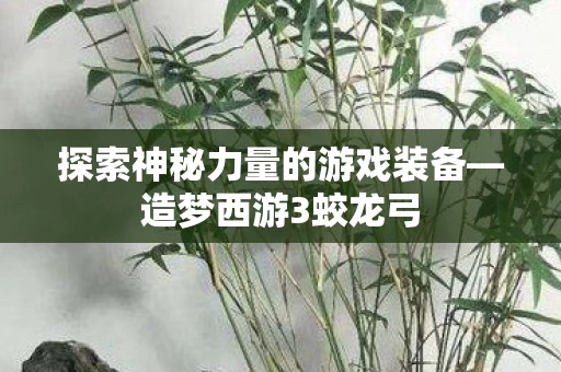 探索神秘力量的游戏装备图片