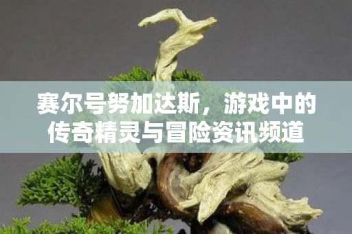 游戏中的传奇精灵与冒险资讯频道图片
