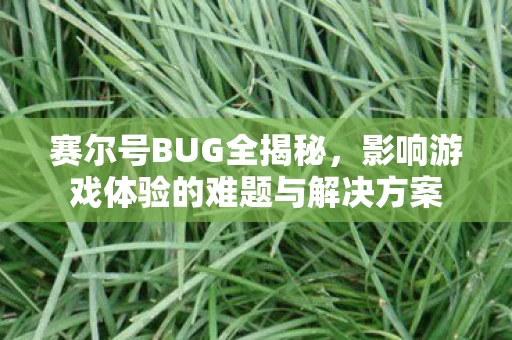 影响游戏体验的难题与解决方案图片
