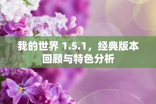 经典版本回顾与特色分析图片