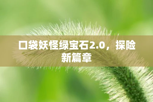 口袋妖怪绿宝石2.0，探险新篇章