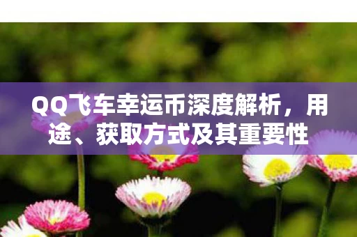QQ飞车幸运币深度解析图片