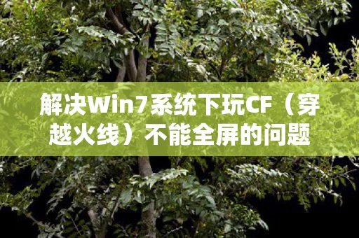 解决Win7系统下玩CF图片