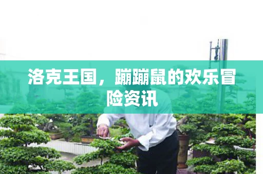 蹦蹦鼠的欢乐冒险资讯图片