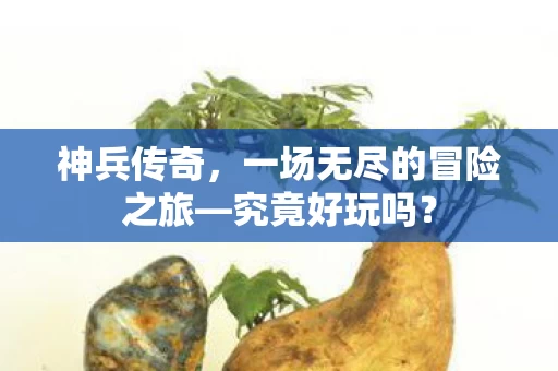 一场无尽的冒险之旅图片
