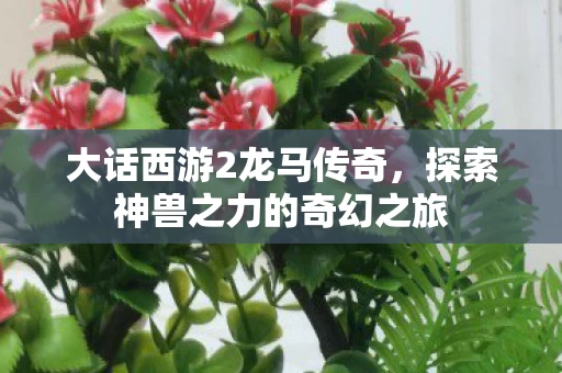 探索神兽之力的奇幻之旅图片