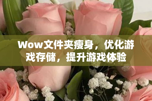 Wow文件夹瘦身图片