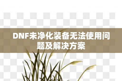 DNF未净化装备无法使用问题及解决方案图片
