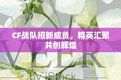 CF战队招新成员图片