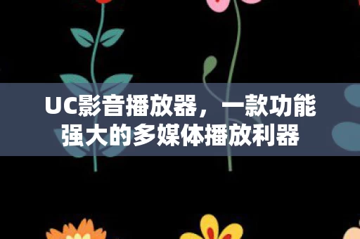 一款功能强大的多媒体播放利器图片