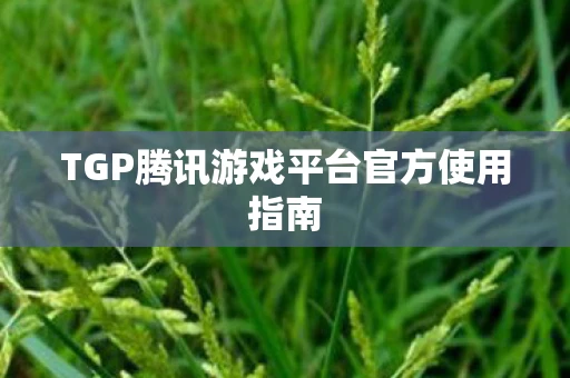 TGP腾讯游戏平台官方使用指南