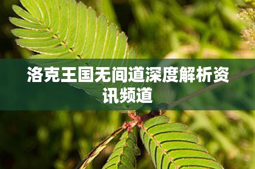 洛克王国无间道深度解析资讯频道图片