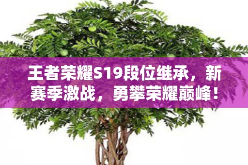 王者荣耀S19段位继承图片