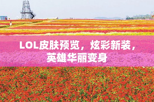 LOL皮肤预览图片